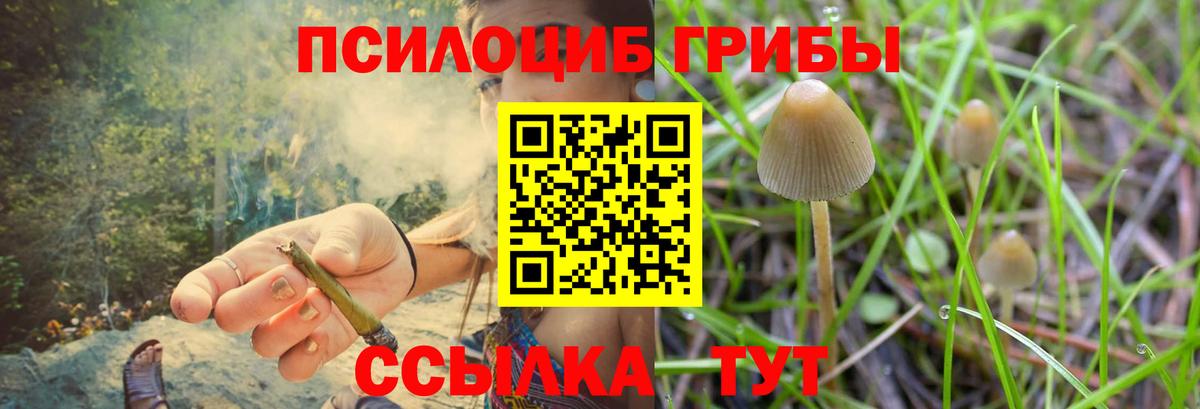 Псилоцибиновые грибы Magic Shrooms Гусиноозёрск